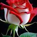 Daniyel Hemrom - Facebook