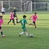 Daniel Hendel - @danielhendel2309 - TikTok