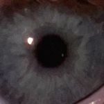 daniel-hendershot - @danielhendershot - Instagram