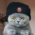 Daniel Heng - Facebook