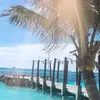 Daniel Heng - @daniel.heng - TikTok