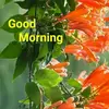 Daniel Heng - @daniel.heng5 - TikTok