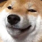 Ya boi dan - @hennigan.daniel - Instagram