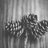 danielhenricks - @danielhenricks - TikTok