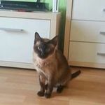 Daniel Dann - @daniel_hensely - Instagram