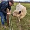 Daniel Hensel948 - @danielhensel948 - TikTok