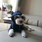 DanielHeo - @danielheo8947 - Instagram