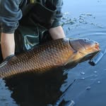 Daniel Hepworth & Josh Wilson - @dj_carping - Instagram