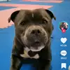 gracie Mae 🙂🙂🙂🙂🙂🙂🙂🙂🙂❤ - @danielhepworth980 - TikTok