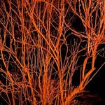 Daniel Herberger - @dherb1 - Instagram