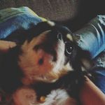 daniel - @danielherbin56 - Instagram