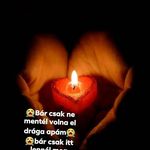 Lacatus Daniel - @daniel_herceged - Instagram