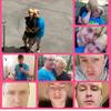 Danielherder - @danielherder27 - TikTok