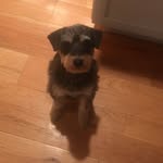 Dan the man - @daniel_herera929 - Instagram