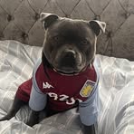 Daniel Harpin - Facebook