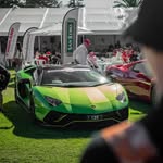 Daniel_Herring - @daniel_h3rring - Instagram