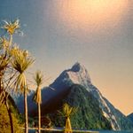 Daniel Hertel - @daniel.hertel - Instagram