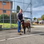 Daniel Hertig - @hertigd - Instagram
