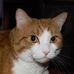 Daniel Herweg - Facebook