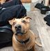 Daniel Heflin - Facebook