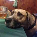 Daniel Heßler - @daniel_eddy412 - Instagram