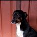 Hettich Daniel - Facebook