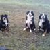Daniel Heizmann - Facebook