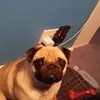 daniel_hewitson - @daniel_hewitson - TikTok