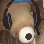 Daniel Heyer - @daheyer147 - Instagram