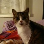daniel heyer - @danielsdt1403 - Instagram