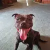 Daniel Hickin - @daniel.hickin - TikTok