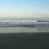 danielhiganishima - @danielhiganishima - TikTok