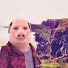 Daniel Higgs - @thepiggyboi9256 - TikTok