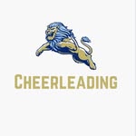 Daniel High School Cheerleading - @dwdanielcheerleading - Instagram