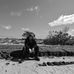 Daniel Higham - Facebook