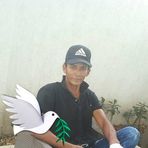 Daniel Higinio Rojasbolivar - Facebook