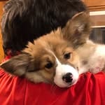Daniel Higley - @higley_daniel - Instagram