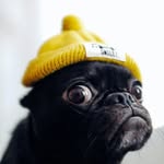 Daniel - @daniel_hii_ - Instagram