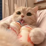 HII - @daniel.hii.2406 - Instagram