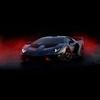Daniel Hild845 - @danielhild845 - TikTok