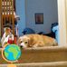 Daniel Hiles - Facebook