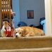 Daniel Hiles - Facebook