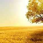 Daniel Hiles - @hilesdaniel - Instagram