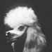 Daniel Hilgert - Facebook