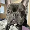 Daniel Hill - @danielhill12 - TikTok
