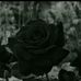 Daniel Hilla - Facebook