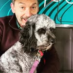 Daniel Hillary - @bunyyrabbit - Instagram