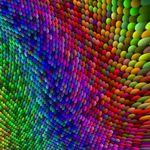 Daniel Hillen - @dhillen06 - Instagram