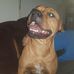 Daniel Hillis - Facebook