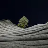 Daniel_Hinton - @daniel_hinton - TikTok